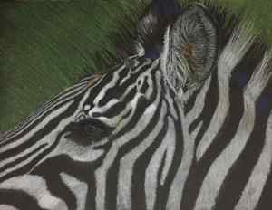 Zebra on Green